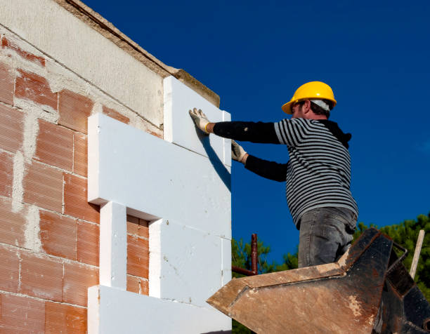 Best Insulation Contractors for Homes  in Iowa Colony, TX