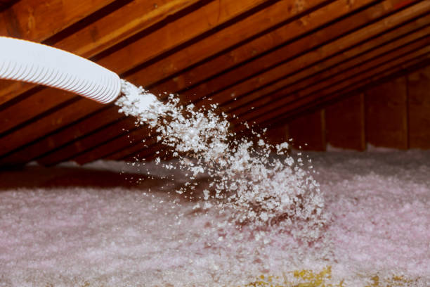 Best Attic Insulation Installation  in Iowa Colony, TX