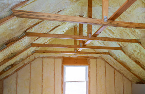 Best Commercial Insulation Contractor  in Iowa Colony, TX