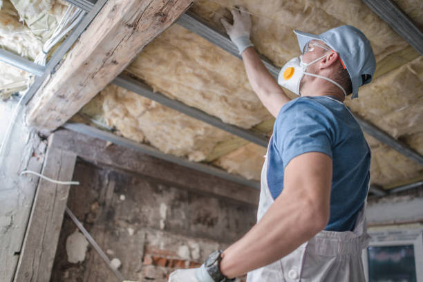 Best Professional Insulation Contractor  in Iowa Colony, TX