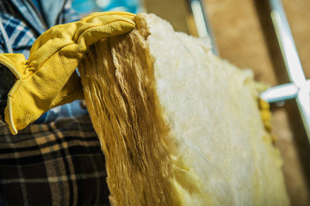 Best Crawl Space Insulation  in Iowa Colony, TX