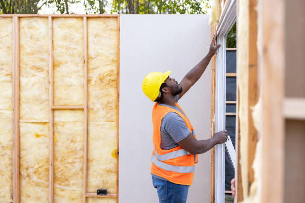 Best Home Insulation Services  in Iowa Colony, TX