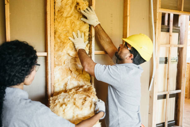 Best Blown-in Insulation  in Iowa Colony, TX