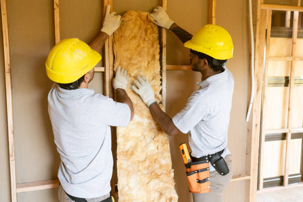 Best Insulation Repair Services  in Iowa Colony, TX