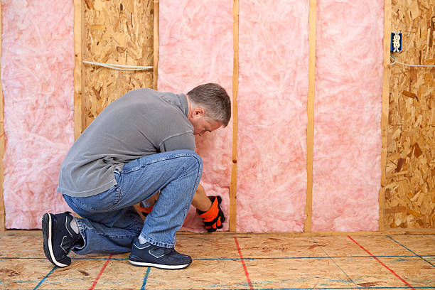 Insulation Contractors for Homes in Iowa Colony, TX
