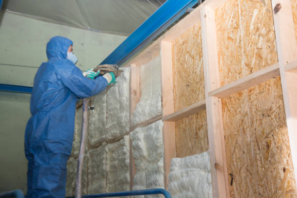 Best Wall Insulation Contractor  in Iowa Colony, TX