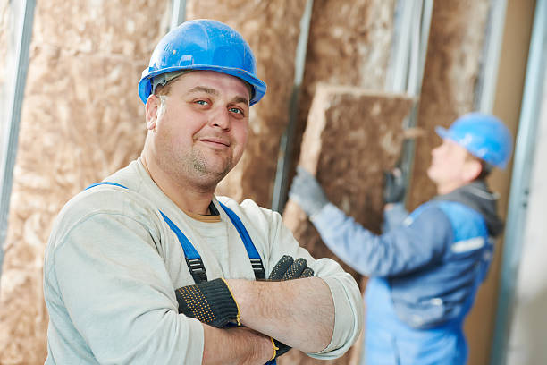 Best Insulation Installation Cost  in Iowa Colony, TX