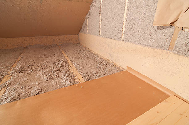Best Insulation Contractor Near Me  in Iowa Colony, TX