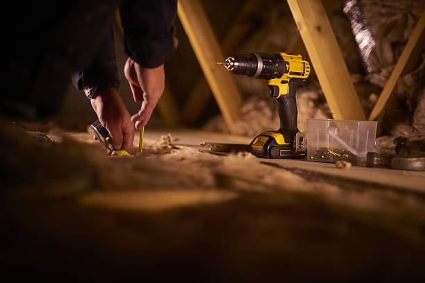 Best Best Insulation Companies  in Iowa Colony, TX