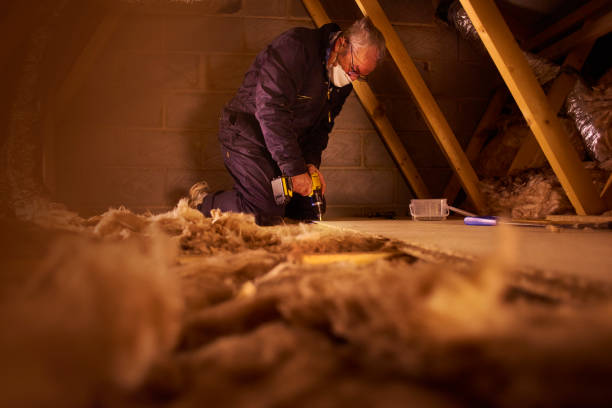 Best Insulation Replacement Services  in Iowa Colony, TX