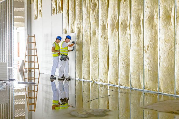 Best Insulation for New Construction  in Iowa Colony, TX